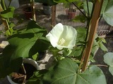 872fda9c.jpg